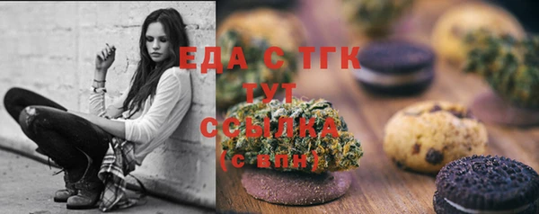 спайс Каменка