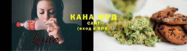 спайс Каменка
