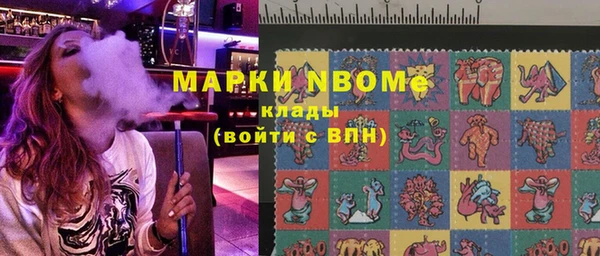 спайс Каменка
