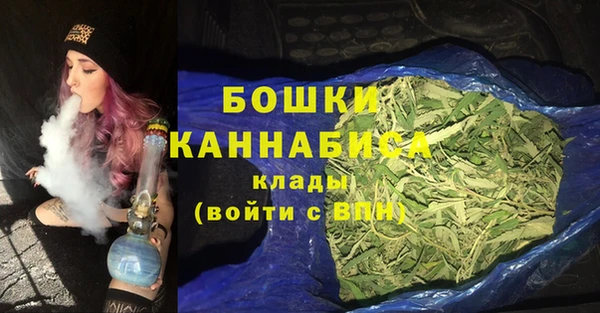 спайс Каменка