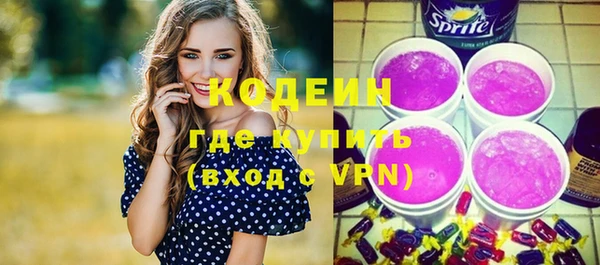 спайс Каменка