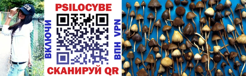 Галлюциногенные грибы MAGIC MUSHROOMS  Купить где  Петров Вал 